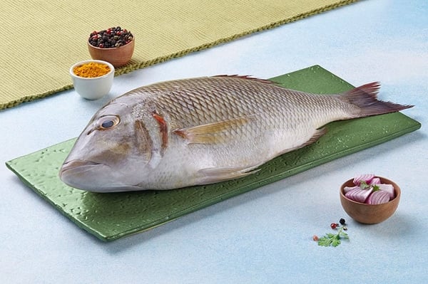 Bhetki /  Barramundi / Asian Seabass / Kalanji