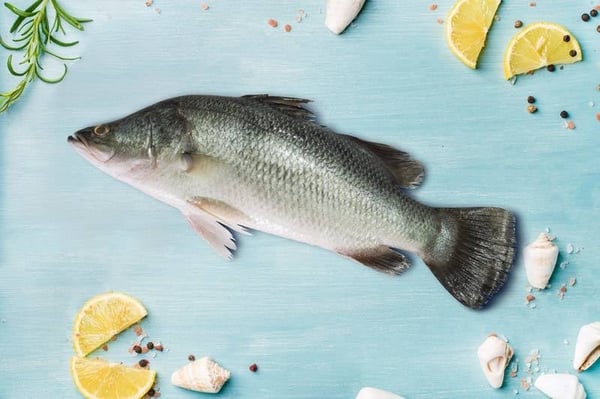 Tuna / Choora / Choorai